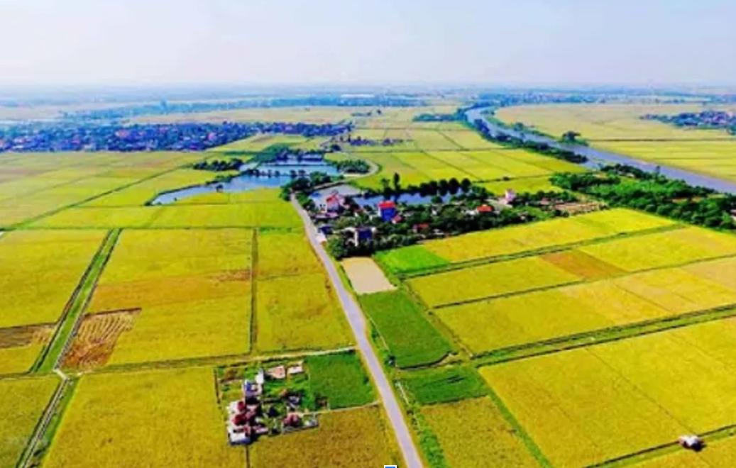 Kinh nghiệm xây nhà trên đất ruộng